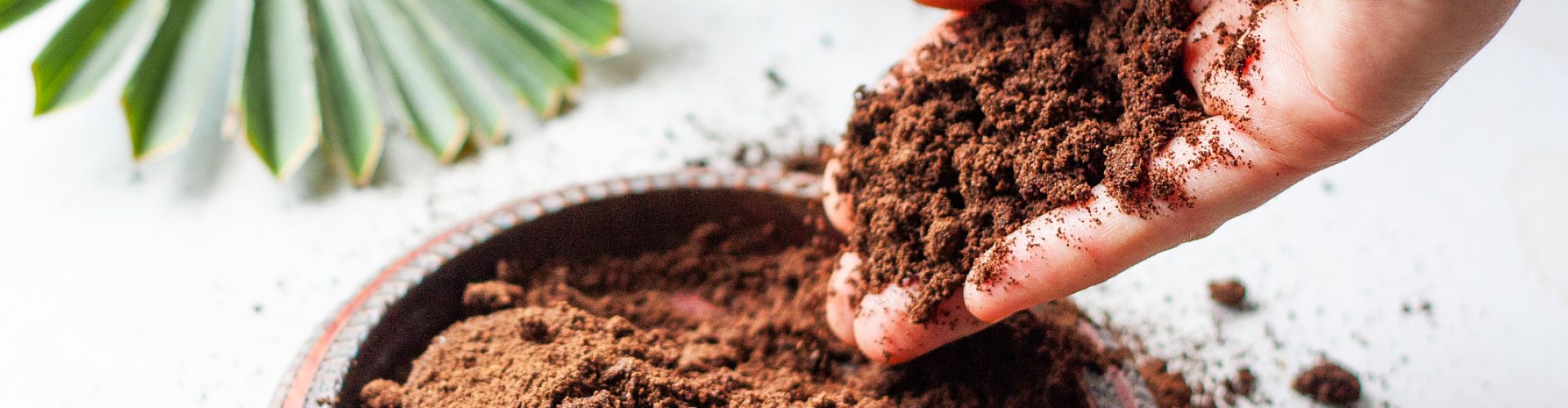 Woman's hand crumbles coffee grounds into wooden bowl. Coffee grounds used as a body scrub or fertilizer for plants.