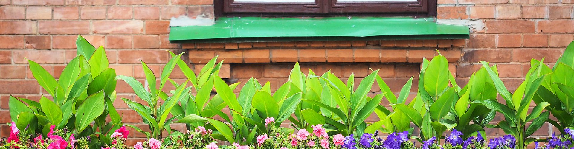 Flower bed in front of the house, gardening